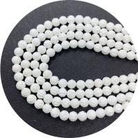 Natural White Shell Beads, Round, Carved, DIY, white cm 