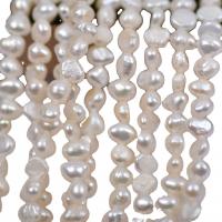 Perles de culture d'eau douce Keishi, perle d'eau douce cultivée, DIY, blanc, 3-4mm cm, Vendu par brin