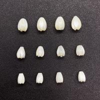 Natural White Shell Beads, Tulip, Carved, DIY white 
