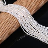 Rice Cultured Freshwater Pearl Beads, DIY, white, 2.0-2.5mm Approx 15 Inch 