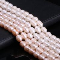 Rice Cultured Freshwater Pearl Beads, DIY 11-12mm Approx 15 Inch 