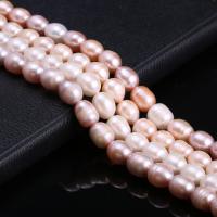 Rice Cultured Freshwater Pearl Beads, DIY 10-11mm Approx 15 Inch 