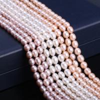 Rice Cultured Freshwater Pearl Beads, DIY 7-7.5mm Approx 15 Inch 