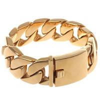 Titanium Steel Bracelet, gold color plated & for man 