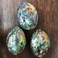 Abalone Shell Pendants, mixed colors, 40x55- 