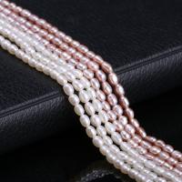 Rice Cultured Freshwater Pearl Beads, DIY 2.5-3mm Approx 15 Inch 