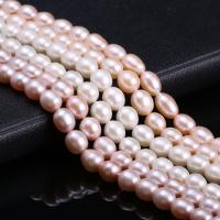 Rice Cultured Freshwater Pearl Beads, DIY 8-9mm Approx 15 Inch 