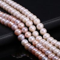 Potato Cultured Freshwater Pearl Beads, DIY 10-11mm Approx 15 Inch 
