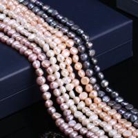 Button Cultured Freshwater Pearl Beads, irregular, DIY 7-8mm Approx 15 Inch 