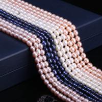Rice Cultured Freshwater Pearl Beads, DIY 6-7mm Approx 15 Inch 