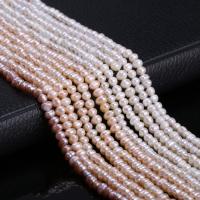 Potato Cultured Freshwater Pearl Beads, DIY 3-4mm Approx 15 Inch 