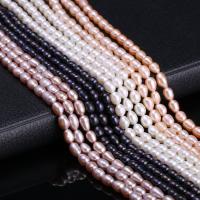 Rice Cultured Freshwater Pearl Beads, DIY 4-5mm Approx 15 Inch 
