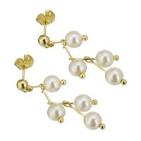 South Sea Shell Drop Earrings, Stainless Steel, with Shell Pearl, gold color plated, for woman, 39mm 
