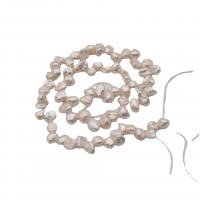 Perles de culture d'eau douce Keishi, perle d'eau douce cultivée, bijoux de mode & DIY, blanc, Vendu par brin