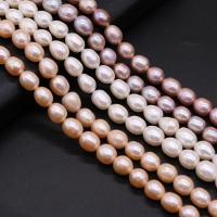 Rice Cultured Freshwater Pearl Beads, DIY 9-10mm Approx 14.1 