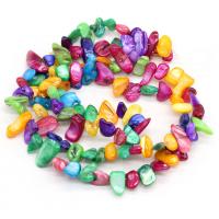 perle de coquillage teint, coquille, chips, DIY, multicolore, 8x15- cm, Vendu par brin