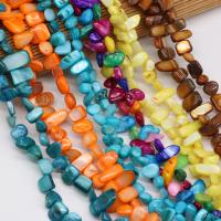 Dyed Shell Beads, Chips, DIY 8x15- cm 