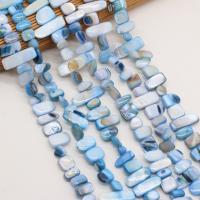 perle de coquillage teint, coquille, DIY, blue ciel, 8x15- cm, Vendu par brin