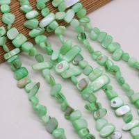 perle de coquillage teint, coquille, DIY, vert, 8x15- cm, Vendu par brin