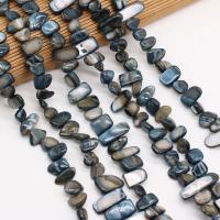 perle de coquillage teint, coquille, DIY, noire, 8x15- cm, Vendu par brin