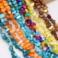 perle de coquillage teint, coquille, DIY, plus de couleurs à choisir, 8x15- cm, Vendu par brin