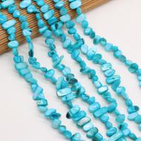 perle de coquillage teint, coquille, DIY, bleu, 8x15- cm, Vendu par brin