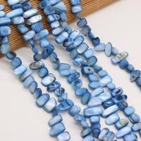perle de coquillage teint, coquille, DIY, couleur bleu foncé, 8x15- cm, Vendu par brin