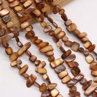 perle de coquillage teint, coquille, Irrégulière, DIY, brun, 8x15- cm, Vendu par brin