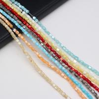 Dyed Shell Beads, Column, DIY cm 