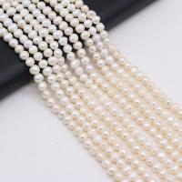 Perlas Botón Freshwater , Perlas cultivadas de agua dulce, Bricolaje, Blanco, 6-7mm, longitud:36 cm, Vendido por Sarta