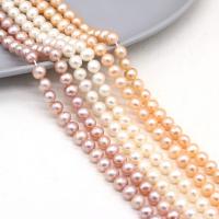 Perlas Redondas Freshwater, Perlas cultivadas de agua dulce, Bricolaje, más colores para la opción, 6-6.5mm, longitud:36 cm, Vendido por Sarta