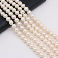 Perlas Redondas Freshwater, Perlas cultivadas de agua dulce, Bricolaje, Blanco, 11-12mm, longitud:36 cm, Vendido por Sarta