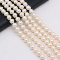 Perlas Redondas Freshwater, Perlas cultivadas de agua dulce, Bricolaje, Blanco, 8-9mm, longitud:36 cm, Vendido por Sarta