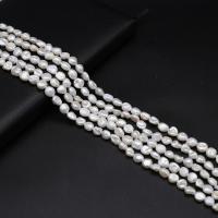 Perles de culture d'eau douce Keishi, perle d'eau douce cultivée, DIY, blanc, 7-8mm cm, Vendu par brin