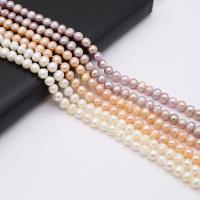 Perlas Botón Freshwater , Perlas cultivadas de agua dulce, Bricolaje, más colores para la opción, 6-7mm, longitud:36 cm, Vendido por Sarta