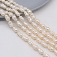 Perles de culture d'eau douce Keishi, perle d'eau douce cultivée, DIY, blanc - cm, Vendu par brin