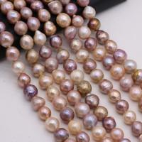 Perles nacres baroques de culture d'eau douce , perle d'eau douce cultivée, DIY, couleurs mélangées, 11-12mm cm, Vendu par brin