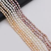 Rice Cultured Freshwater Pearl Beads, DIY 4-5mm cm 