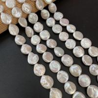 Pièce de culture des perles d'eau douce, perle d'eau douce cultivée, Plat rond, DIY, blanc, 14-15mm Environ 15 pouce, Vendu par brin