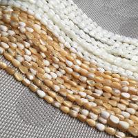 Natural Freshwater Shell Beads, Shell Pearl, Teardrop, DIY Approx 15 Inch 
