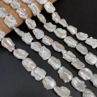 Keshi Cultured Freshwater Pearl Beads, irregular, DIY, white, 116x20- Approx 15 Inch 