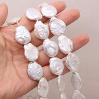 Perles de culture d'eau douce Keishi, perle d'eau douce cultivée, Irrégulière, DIY, blanc Environ 15 pouce, Vendu par brin