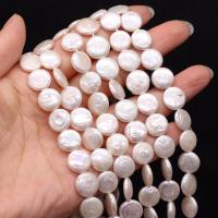 Coin Cultured Freshwater Pearl Beads, DIY, white, 11-12mm Approx 15 Inch 