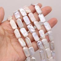 Keshi Cultured Freshwater Pearl Beads, irregular, DIY, white Approx 15 Inch 
