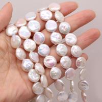 Coin Cultured Freshwater Pearl Beads, irregular, DIY, white, 12-13mm Approx 15 Inch 