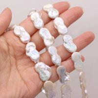 Perles de culture d'eau douce Keishi, perle d'eau douce cultivée, Irrégulière, DIY, blanc, 12x20- Environ 15 pouce, Vendu par brin