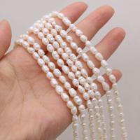 Perles de culture d'eau douce Keishi, perle d'eau douce cultivée, DIY, blanc, 4-5mm Environ 14.17 pouce, Vendu par brin