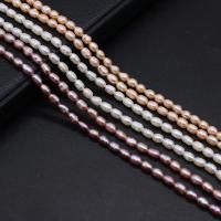 Rice Cultured Freshwater Pearl Beads, DIY 3-3.5mm Approx 14.17 Inch 
