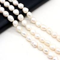 Potato Cultured Freshwater Pearl Beads, DIY, white, 10-11mm Approx 14.17 