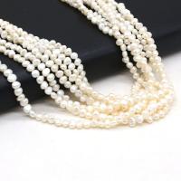 Keshi Cultured Freshwater Pearl Beads, DIY, white, 3-4mm Approx 14.17 